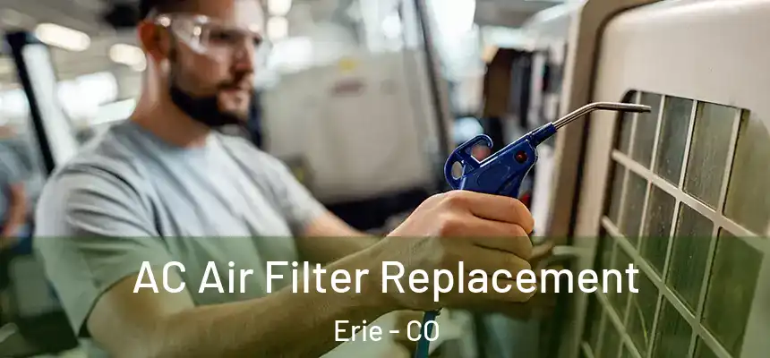  AC Air Filter Replacement Erie - CO