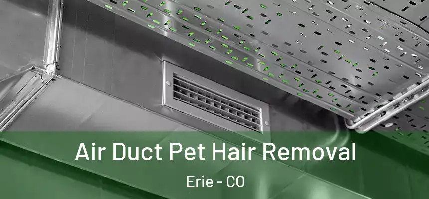  Air Duct Pet Hair Removal Erie - CO