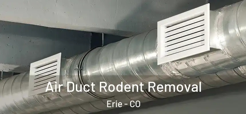  Air Duct Rodent Removal Erie - CO