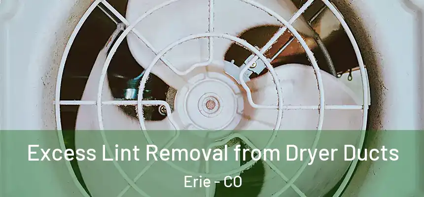  Excess Lint Removal from Dryer Ducts Erie - CO