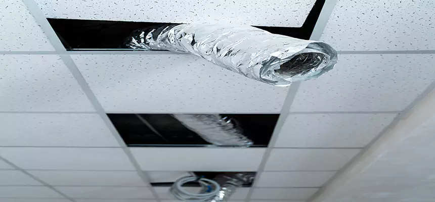 Our Air Duct Pet Hair Removal Services in Erie, CO