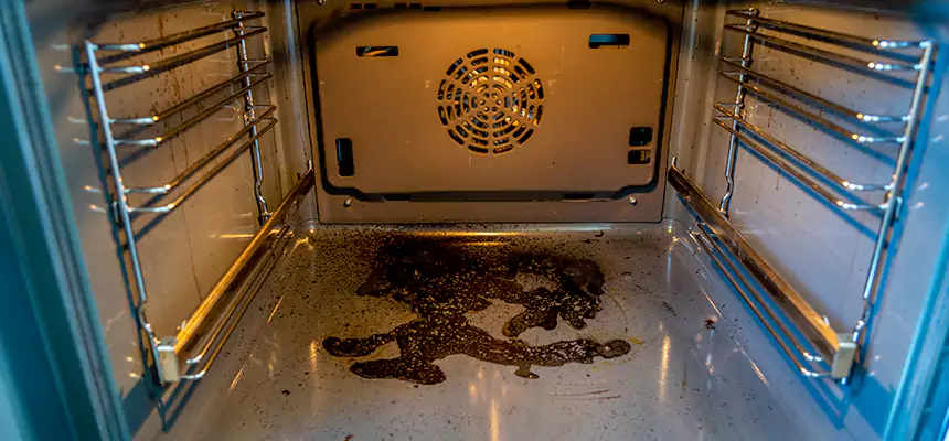 Our Dryer Vent Mold Cleaning Services in Erie, CO