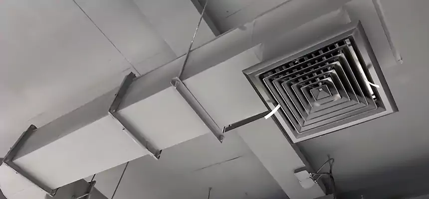 Our Pest Removal From Ducts Services in Erie, CO