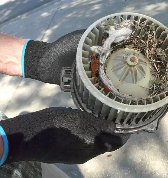 About Air Duct Mice Removal in Erie, CO