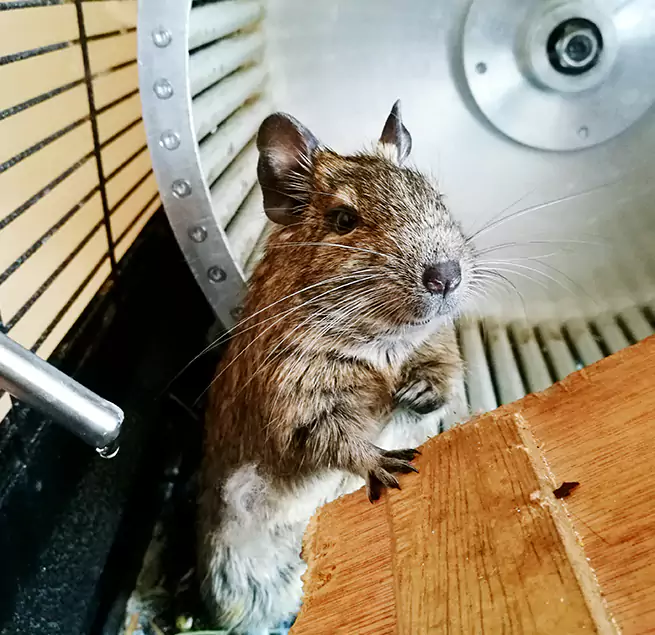 Why Homeowners & Businesses Trust Us Erie, CO