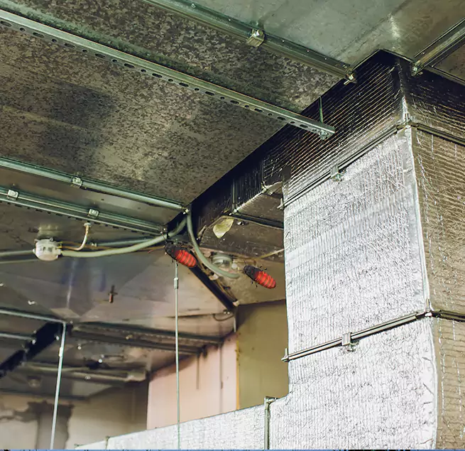 Why Homeowners & Businesses Trust Us Erie, CO?